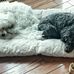 Cathleen Atchison - Facebook