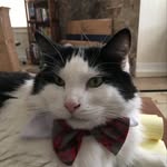 Kathleen Atchison - @atchison4202 - Instagram