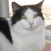 Kathleen Atchison - Facebook