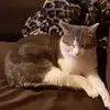 kathleenannatchison - @kathleenannatchison - TikTok