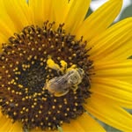 Kathleen Baca - @bacacountry - Instagram