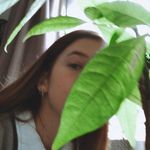 Kathleen Balcome - @katbalcome - Instagram