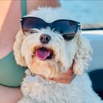 Kathleen Donahue Bascom - @kathleenbascom - Instagram