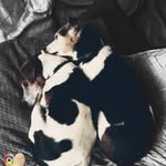Kathleen Bean - @kathleen.bean.37 - Instagram