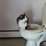 Kathleen Bender O'Keefe - @k.b.okay - Instagram
