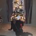 Kathleen Blakely - Facebook