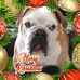 Kathleen Brust - Facebook