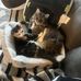 Kathleen Brust - Facebook