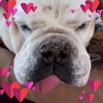 Kathleen Brust - @kathleen_brust1 - Instagram
