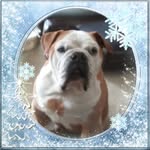 Kathleen Brust - @kathleenbrust - Instagram