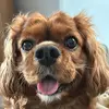 kathleen brust - @kathleen.brust - TikTok