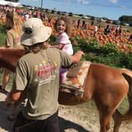 Kathleen Harsch Clapper - Facebook