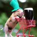 Kathleen Clapper - Facebook