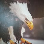 Kathleen Crews - Facebook