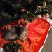 Kathleen Darnell - Facebook