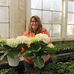 Kathleen Dillard - Facebook