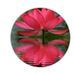 Kat Docherty - Facebook