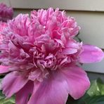 Kathleen Eager - Facebook