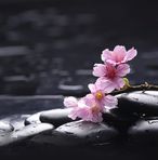 Kathleen Eagers - Facebook