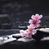 kathleeneagers - @kathleeneagers - TikTok