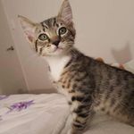 Kathleen Eccles Moore - @kathleen.e.moore.5 - Instagram