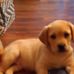 Kathleen Echols - Facebook