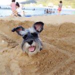 Kathleen Echols - @charimcdeck - Instagram