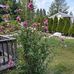 Kathleen Jean Ettinger - Facebook