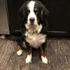 kathleenneeley852 - @kathleenneeley852 - TikTok