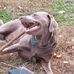Kathleen Frame - Facebook