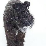 Kathleen Gandy-Vojtech - @rlnurse - Instagram
