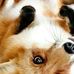 Kathleen Gerth - Facebook