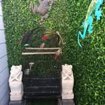 Kathleen Guild Whitton - @guildwhitton - Instagram