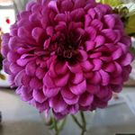 Kathleen Buchhalter - @kathleenbuchhalter - Instagram