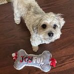 Kathleen Artz Jackowski - Facebook