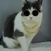 Jonathan Kathleenay - @jonathan.kathleen5 - TikTok