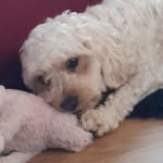 Kathleen Looby - @kathleenloobylooby - Instagram
