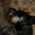 Kathleen Lundquist - Facebook