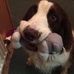 Kathleen Malcolm - Facebook