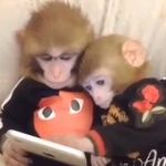 Kathleen - @kathleenmaplewood - Instagram