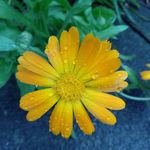 Kathleen Haley - @kathleen.marsh.56 - Instagram