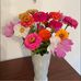 Kathleen McBrien Insler - Facebook