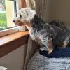 Kathleen “Kat” Mcdade - @kathleen.kat.mcda - TikTok