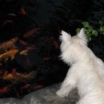 Kathleen McKnight - @kathleen.mcknight.35 - Instagram