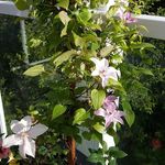 Kathleen McKnight - @kathleen.mcknight.37201901 - Instagram