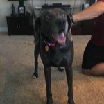 Kathleen McKnight Janssen - @breezybreeisabee - Instagram