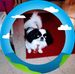 Cathleen Misze - Facebook