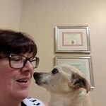 Kathleen Pellicci - @kathleenpellicci - Instagram