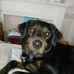 Kathleen Pellizzaro - Facebook