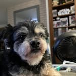 Kathleen Ramey - @kathleen.ramey.39 - Instagram